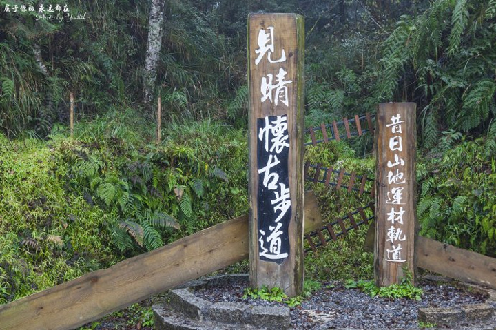 "台湾满是让人惊艳的山海美景，网络上流传全球最美28条小路，台湾地区唯一入选的就是“见晴怀古步道”_太平山森林游乐区"的评论图片
