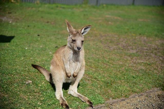 东海岸自然世界