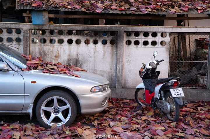 2017.大保健的经历吧: 第一分店是最不起眼但