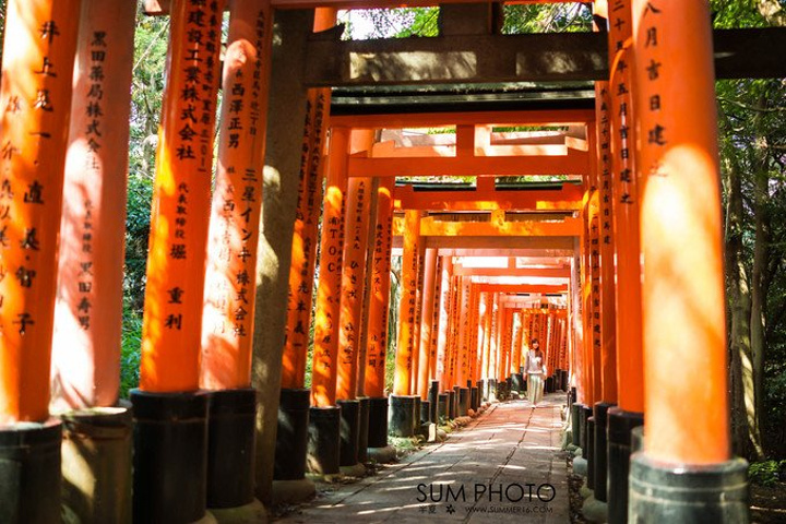 一路上最喜欢奈良和稻荷了爬到山顶自然有不一样的风景.