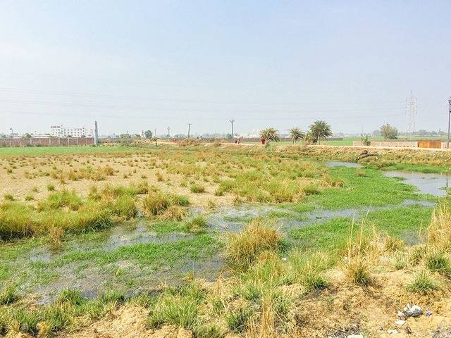 菩提伽耶的摩诃菩提寺