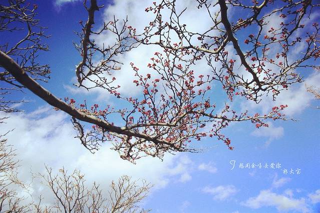 溜达日本·记得爱你身边的人