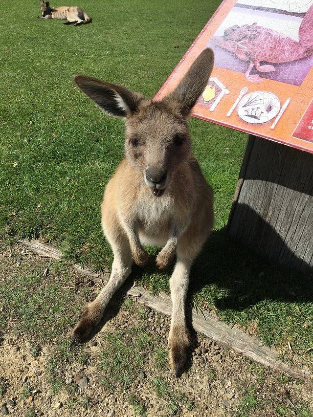 东海岸自然世界