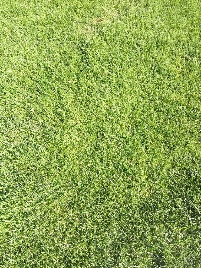 沈阳市万柳塘公园