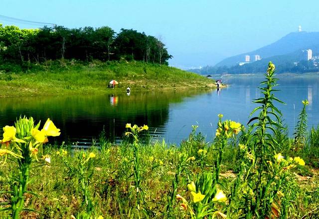 大连西郊国家森林公园