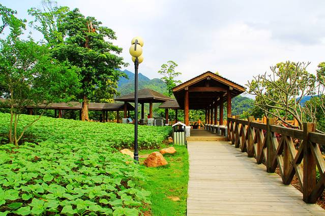 流溪河国家森林公园