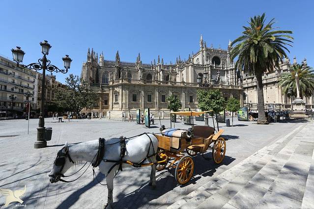 塞维利亚大教堂