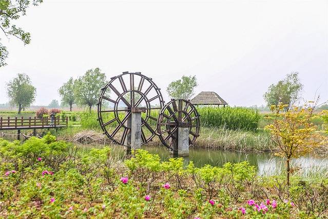 泗洪洪泽湖湿地景区