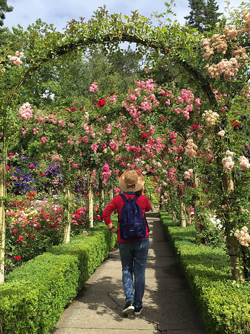 "首当目的地必须是布查特花园(The Butchart Gardens)——世界上最美的花园_布查德花园"的评论图片