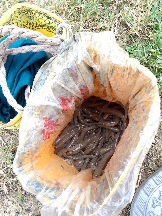 福州市闽江河口国家湿地公园