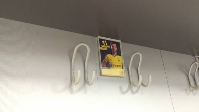 西格纳伊度纳公园