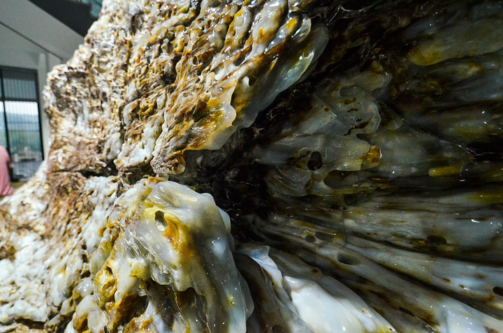 2018.光农业、高端民宿等业态,吸引了太湖龙之