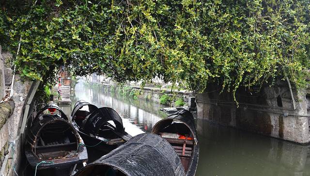 绍兴乌篷船观光