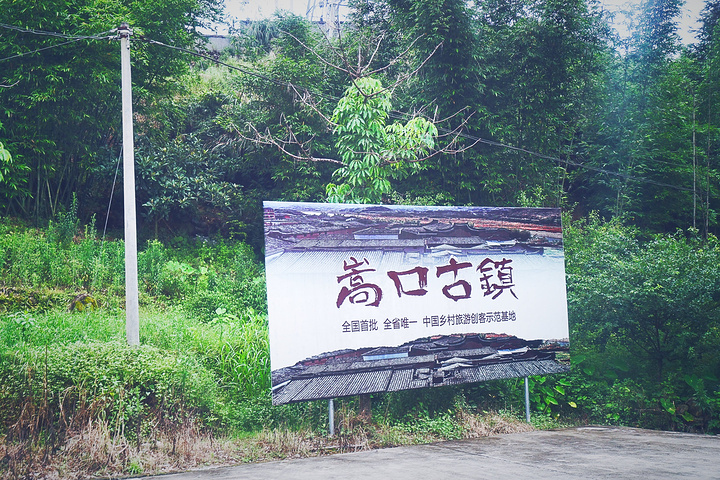 "榕树是福州市树，四季常青、枝荣叶茂、雄伟挺拔、生机盎然，象征着福州城市精神风貌_嵩口镇"的评论图片