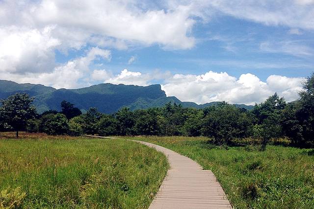 大九湖国家湿地公园