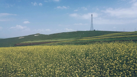 哈达门国家森林公园