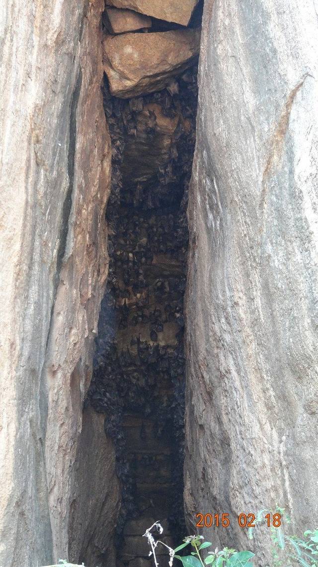 伊苏鲁姆尼亚石庙