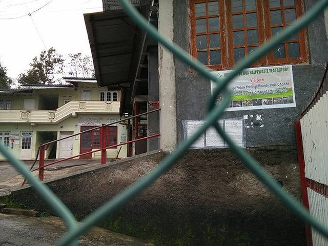 Halpewatte Tea Factory