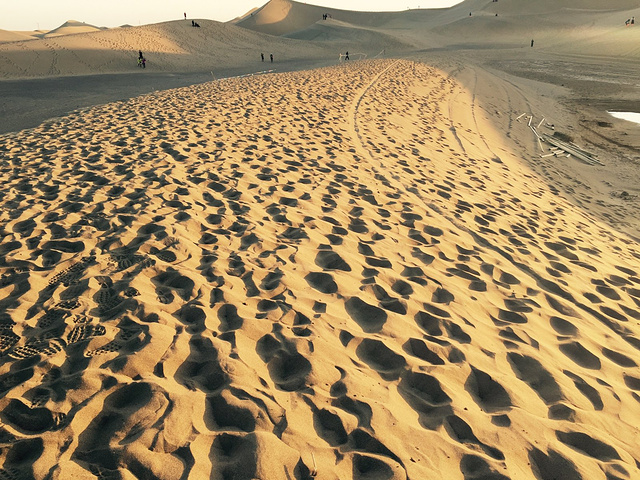 "远处有一道风景，风景在看日落，哈哈…。终于见到真正的纯沙漠了……。这个🐑杂碎一般。这🐫有点孤单_巴丹吉林沙漠"的评论图片