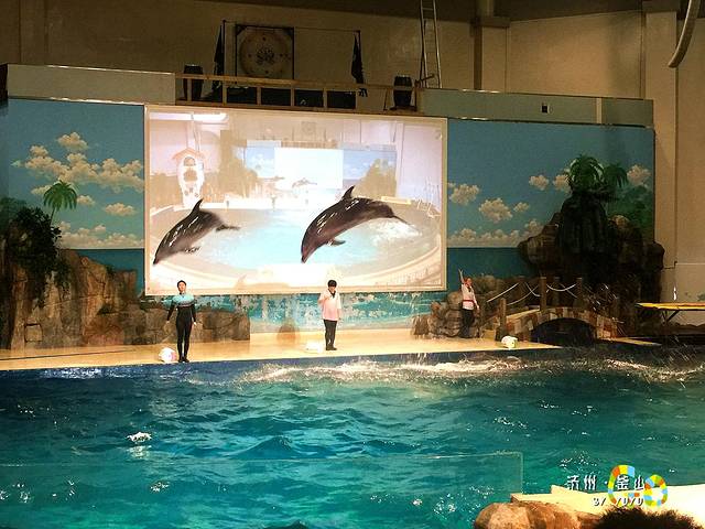 济州岛Aqua Planet水族馆