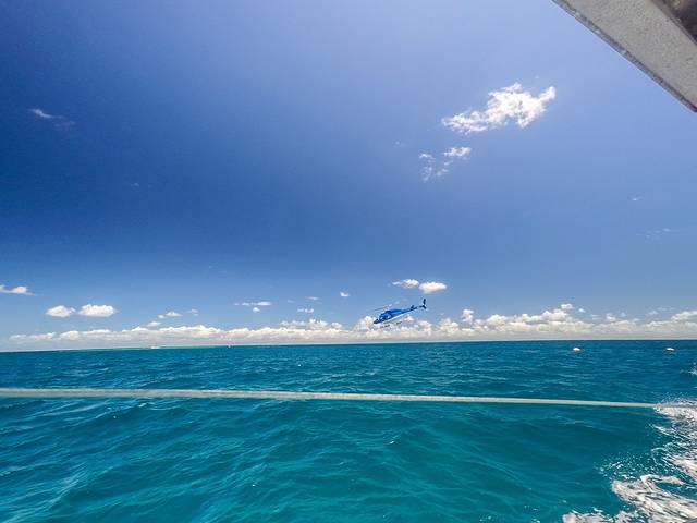 阿金考特大堡礁