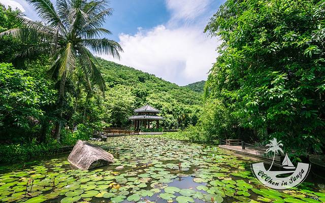 亚龙湾热带天堂森林公园