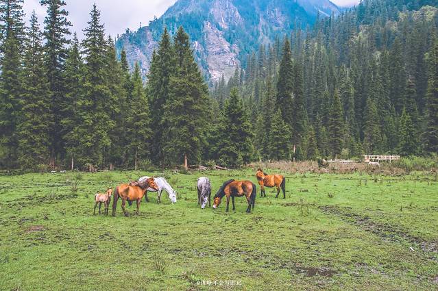 王朗国家级自然保护区