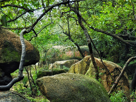 灵岩山寺旅游景点图片