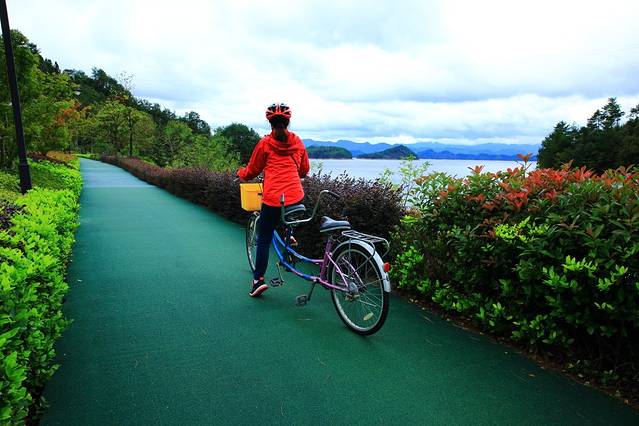 再遇千岛湖 寻绽放的味蕾