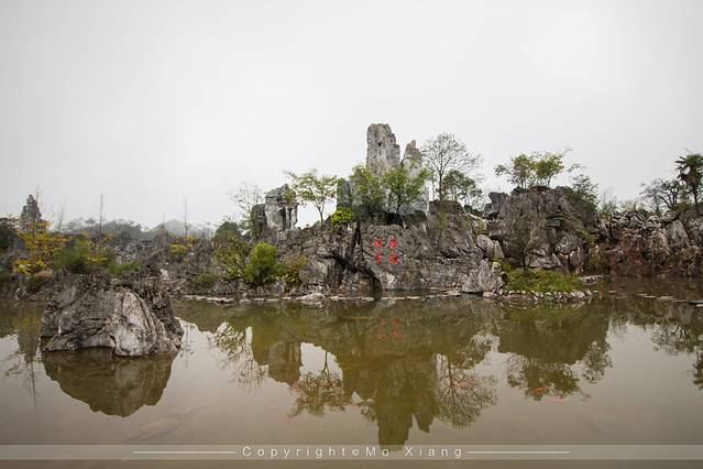 千岛湖石林景区