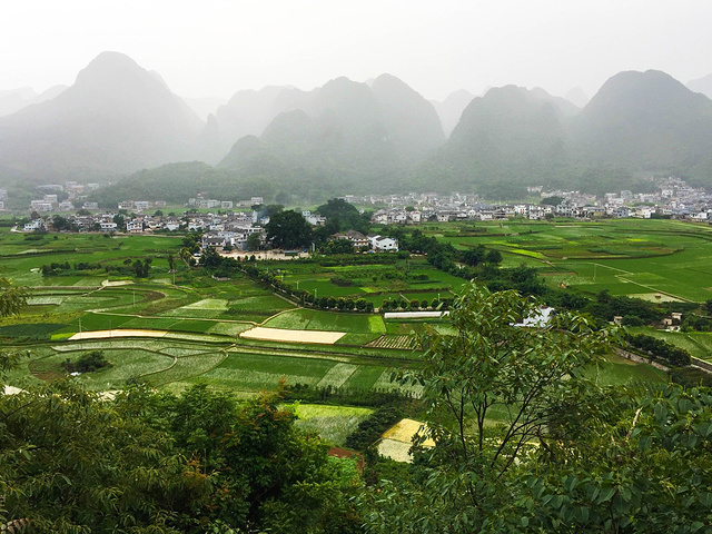 "从峡谷出来前往万峰林，17:30到达万峰林开始乘景区电瓶车沿万峰林半山腰景区的观光道开始体会“..._万峰林景区"的评论图片