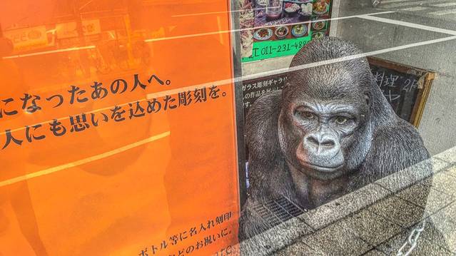 成吉思汗达摩 6-4店