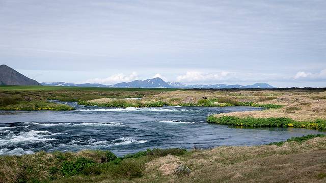 Fuglasafn Sigurgeirs