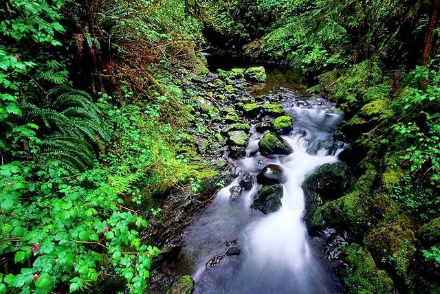 奥林匹克国家公园