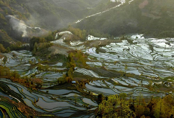 "这里是元阳山势最险峻、气势最恢宏壮观的梯田，堪称“大地雕塑”的典范。摄于元阳老虎嘴梯田景区_老虎嘴景区"的评论图片