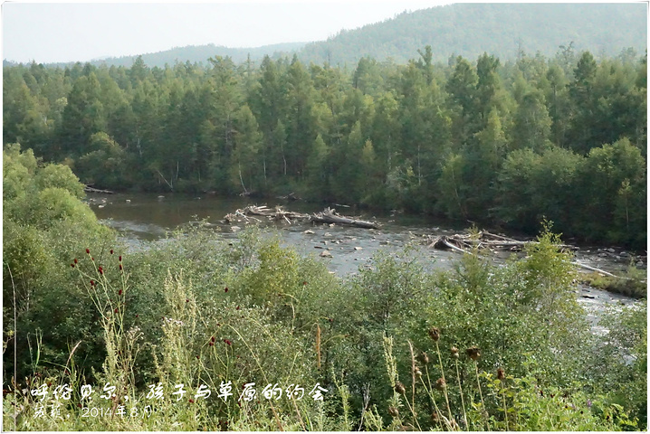 2017一条小河流从林间蜿蜒流过。哗哗的流水