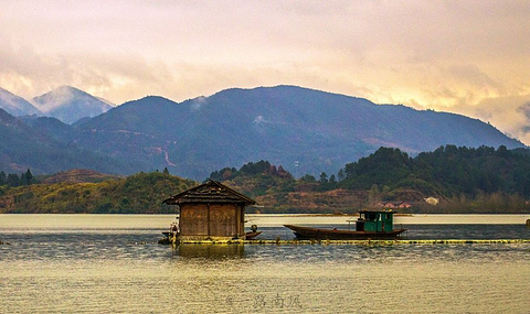 龙湾国家湿地公园旅游景点攻略图