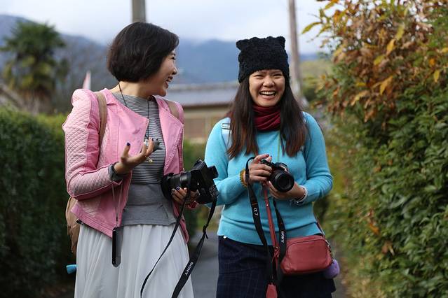 追逐关西枫叶,只为那一抹红。