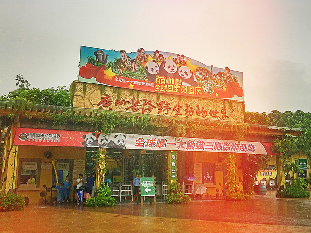 2017今天我们要游玩长隆野生动物世界,下雨天