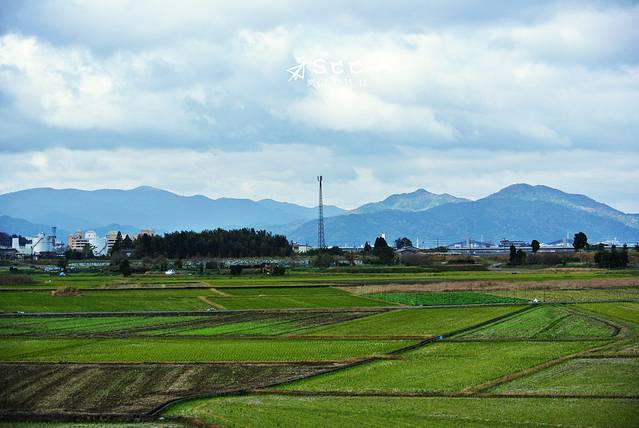 岚山嵯峨野观光小火车