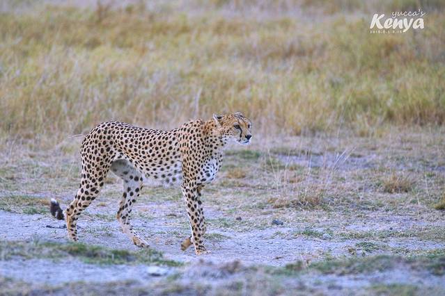 安博塞利国家公园