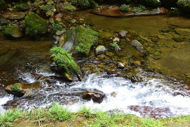 袁家界景区-跳鱼潭