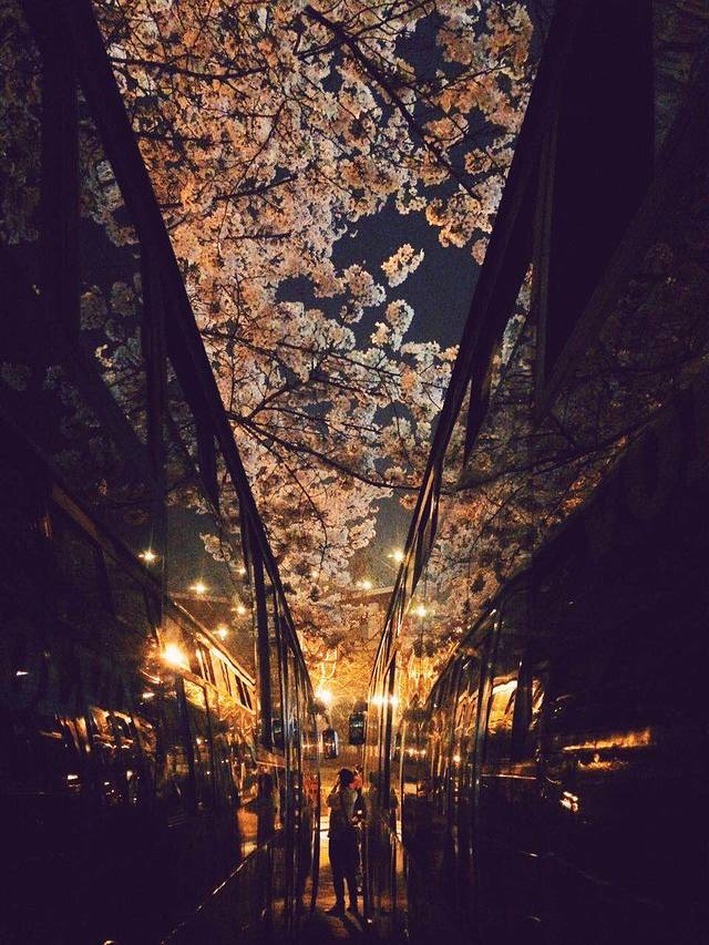 南浦大桥浦西公交枢纽站