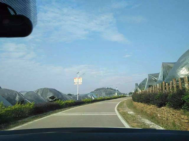 阳朔茶观园景区