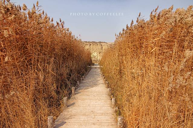 宁夏水洞沟旅游区