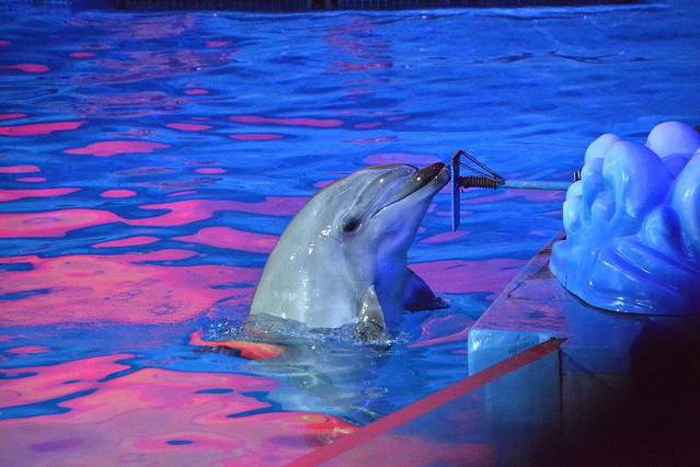 老虎滩海洋公园