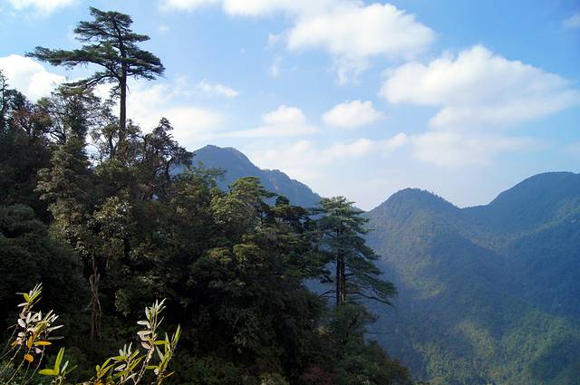 莽山国家森林公园