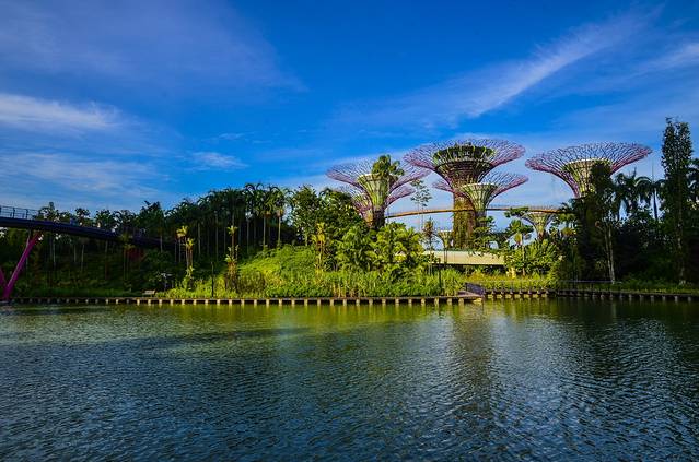 新加坡滨海湾花园
