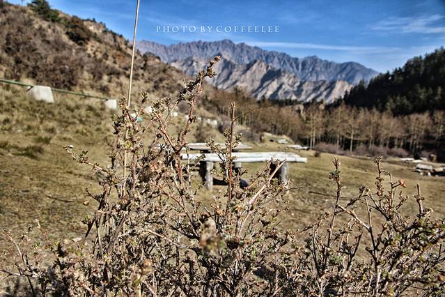 宁夏贺兰山国家森林公园