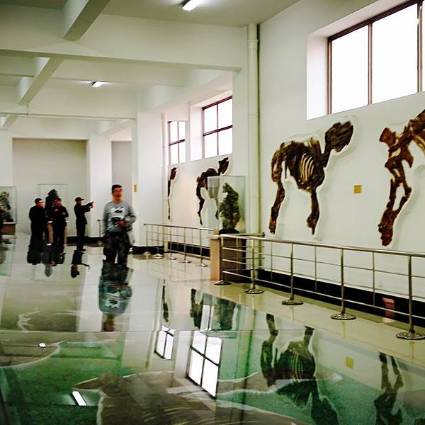 74c0376b5de55eb5.jpg_600x600x70_ab3d033f.jpg